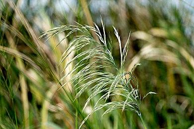 《怪物猎人崛起：曙光》武器动作介绍 弓＆盾斧＆铳枪